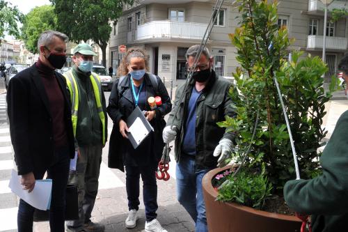 L'installation des pots végétalisés sur la place des Beaux-Arts - Crédit : Ville de Montpellier