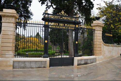 Crédit photos : Ludovic SEVERAC - Ville et Métropole de Montpellier. 